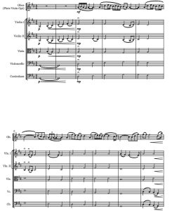 加布里埃尔的双簧管 选自《教父》 管弦乐 总谱+分谱  有试听-云音圈