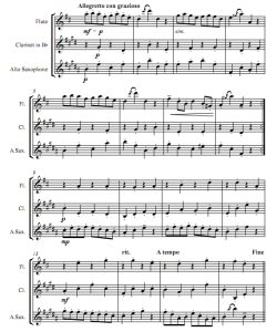 加沃特舞曲 长笛单簧管萨克斯三重奏 总谱+分谱 有试听-云音圈