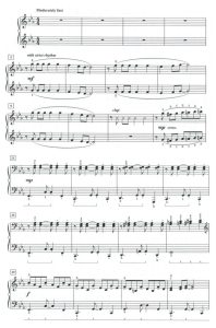 哈瓦那 四手联弹 有试听-云音圈