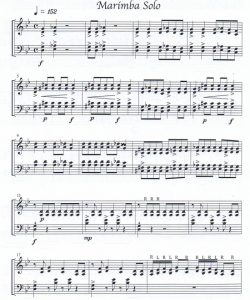 女巫之舞 马林巴四槌独奏 有试听-云音圈