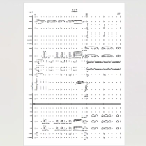 寄少年 民族管弦乐 简谱 总谱+分谱-云音圈