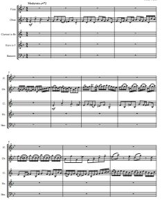 巴赫 木管五重奏总谱+分谱 有试听-云音圈