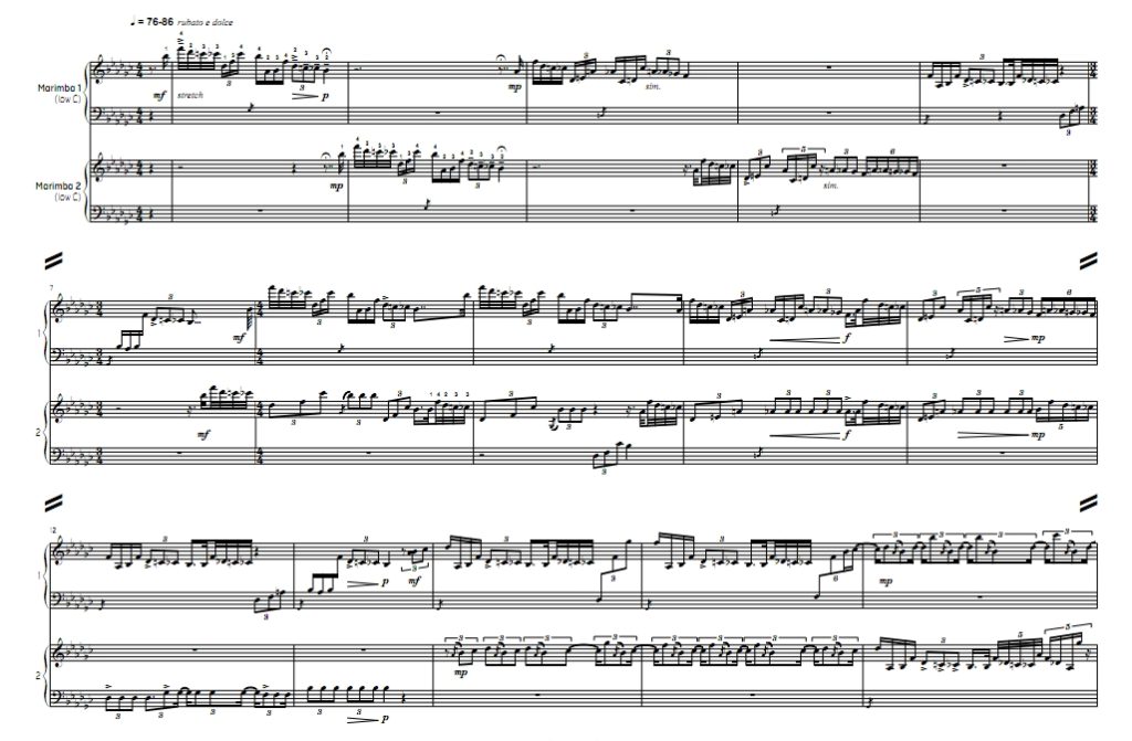 我美丽的混乱  高级 马林巴二重奏 总谱 有试听