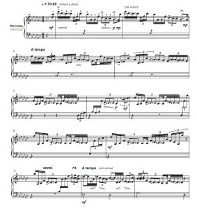 我美丽的混乱 高级 马索版 四槌 独奏 马林巴谱 有试听-云音圈