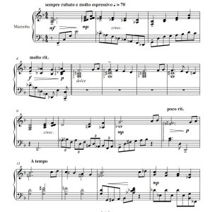 摩登时代 微笑  中高级 斯托帕版 四槌 独奏 马林巴谱 有试听-云音圈