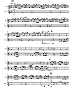 春天来了 长笛小提琴 总分谱 有试听-云音圈