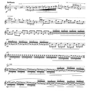 棱镜 安倍圭子 中级 双槌 独奏 马林巴谱  有试听-云音圈