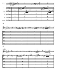 罗马尼亚狂想曲 小提琴+ 弦乐五重奏 总谱 有试听-云音圈