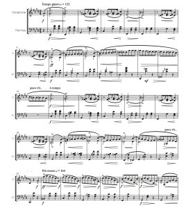 肖邦 升c小调圆舞曲 Op.64-2 颤音琴马林巴合奏 总谱 有试听-云音圈