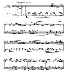 肖邦升c小调幻想即兴曲 Op.66 高级 斯托帕版 颤音琴马林巴合奏 总谱 有试听-云音圈