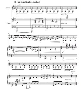 观看冰川融解  费尔德曼 马林巴+钢琴 总谱 有试听-云音圈