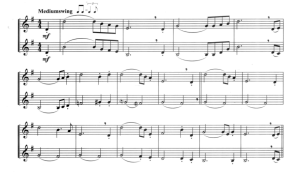 雨中曲 小号二重奏谱 总谱 有试听-云音圈