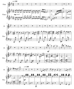 人生的旋转木马 长笛钢琴 总分谱 有试听-云音圈