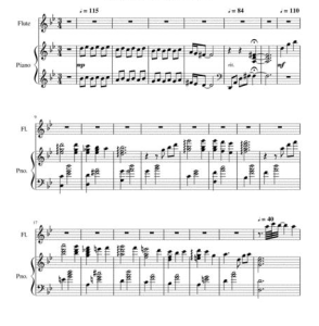 人生的旋转木马 长笛钢琴 总谱+分谱 有试听-云音圈