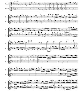 卡农D调  长笛二重奏 总分谱 有试听-云音圈