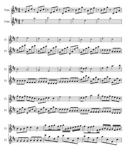 卡农D调 长笛二重奏 总谱+分谱 有试听-云音圈