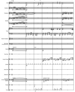 城市之光 中级 打击乐重奏总谱+分谱  有试听-云音圈