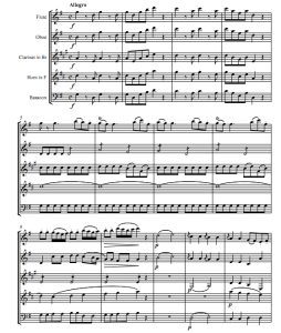 弦乐小夜曲 K525莫扎特 木管五重奏 总谱+分谱 有试听-云音圈