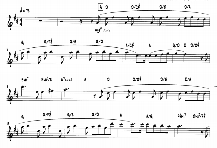 我只属于我  长笛独奏 带伴奏音频 有试听