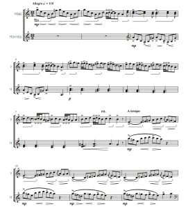 斯卡拉第 a小调奏鸣曲 斯劳森版 中级 颤音琴马林巴 打击乐二重奏总谱 有试听-云音圈