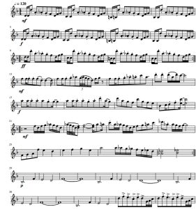 狂妄之人   小提琴谱 有试听-云音圈