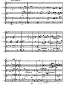 社员都是向阳花 谁不说俺家乡好歌曲联奏 木管五重奏总谱+分谱 有试听-云音圈