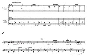 舒伯特 Andantino 中-高级 布鲁斯版 马林巴颤音琴 打击乐二重奏总谱 有试听-云音圈