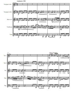 行板 海顿《降E大调小号协奏曲》 加拿大 铜管五重奏总谱+分谱  有试听-云音圈