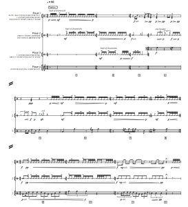 褶皱里的固定物 赫茨版 高级 打击乐四重奏总谱 有试听-云音圈