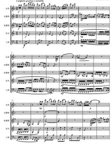 远方的客人请你留下来 木管五重奏 总谱+分谱 有试听-云音圈