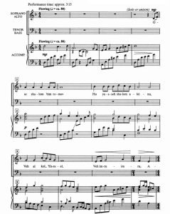 商品为SATB 四声部合唱线谱 Ose Shalom 拉金版 混声合唱SATB+钢琴谱 有试听-云音圈