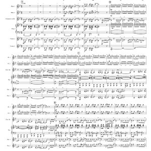 Try Everything 长笛单簧管小提琴钢琴重奏 总谱+分谱 有试听-云音圈