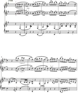 一步之遥 简易版 四手联弹 有试听-云音圈