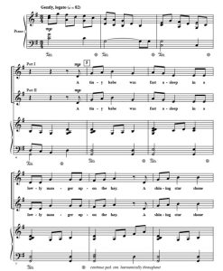 商品为SA 二声部合唱线谱 一颗闪亮的星 施奈德版  童声女声合唱+钢琴谱 有试听-云音圈