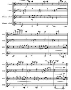 今夜无人入睡 普契尼图兰朵 2长笛与2单簧管四重奏总谱+分谱 有试听-云音圈