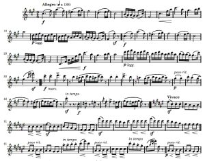 勃拉姆斯匈牙利舞曲5号  长笛独奏 有试听-云音圈