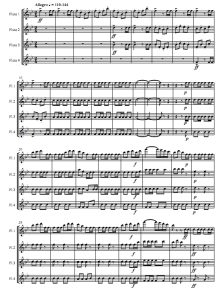 威廉退尔序曲 长笛四重奏总谱+分谱 有试听-云音圈