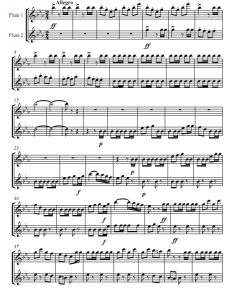 威廉退尔序曲 罗西尼 长笛二重奏总谱+分谱 有试听-云音圈