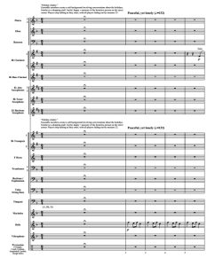 孤独的愿望 巴马吉斯版 中级 交响管乐合奏总谱+分谱 2.5级 有试听-云音圈