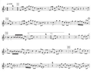 小象行走  长笛独奏 带伴奏音频 有试听-云音圈