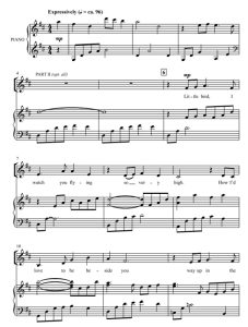 商品为SA 二声部合唱线谱 小鸟 童声女声合唱+钢琴谱 有试听-云音圈