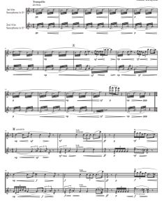 彩云 牛岛安希子 AA萨克斯二重奏总谱 有试听-云音圈