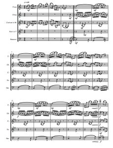 慰藉 墨西哥小夜曲 乔普林 木管五重奏总谱+分谱 有试听-云音圈