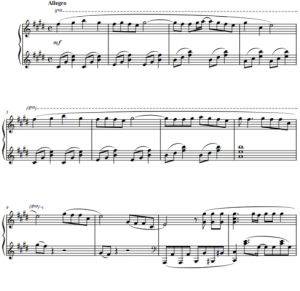 数星星 高级版 钢琴独奏 有试听-云音圈