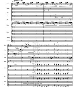 星球大战7《Rey's Theme》拉文德版 中级 交响弦乐合奏总谱+分谱（4级） 有试听-云音圈