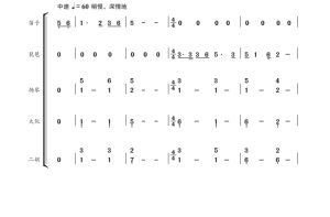 最美的歌儿献给妈妈 笛子琵琶扬琴大阮二胡重奏 简谱 总谱-云音圈
