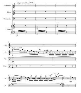 梁祝 二胡长笛大提琴钢琴 总谱+分谱 有试听-云音圈