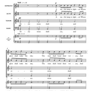 商品为SATB 四声部合唱线谱 每块石头都会哭泣 奇科特版 阿卡贝拉 无伴奏混声合唱谱 有试听-云音圈