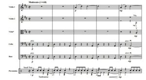 法国民间圣诞歌 初级 交响弦乐合奏总谱+分谱 G2.5 有试听-云音圈