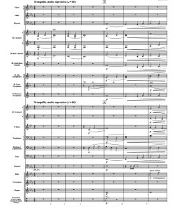 波纹水彩 巴马吉斯版 初级 交响管乐合奏总谱+分谱 2级 有试听-云音圈